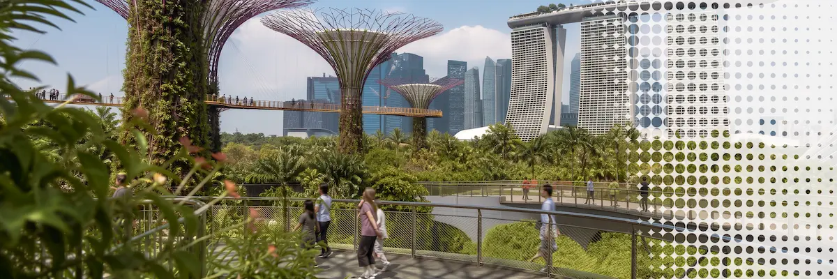 Gardens by the Bay with pedestrians, Supertrees and Singapore’s Marina Bay skyline.
